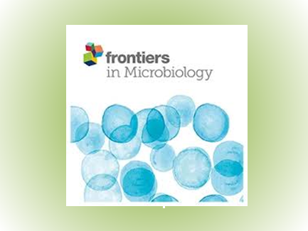Distinct Bacterial and Fungal Communities Linked to Functional Potential in Fermented Fish...